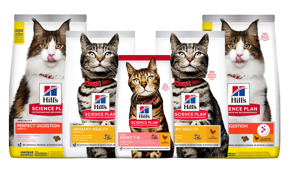 hills kattenvoer aanbieding